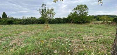 Terrain seul à Mûrs-Erigné en Maine-et-Loire (49) de 330 m² à vendre au prix de 78000€ - 1