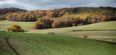 Terrain seul à Chavagnes-les-Redoux en Vendée (85) de 594 m² à vendre au prix de 32893€