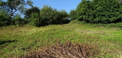 Terrain seul à Prouilly en Marne (51) de 724 m² à vendre au prix de 96400€