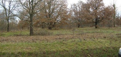 Terrain seul à Boissy-le-Châtel en Seine-et-Marne (77) de 430 m² à vendre au prix de 89000€