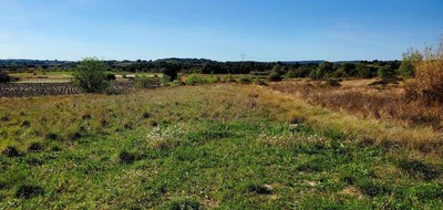 Terrain seul à Loupian en Hérault (34) de 424 m² à vendre au prix de 207900€