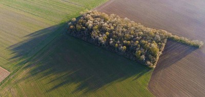 Terrain seul à Isle en Haute-Vienne (87) de 620 m² à vendre au prix de 71500€