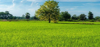 Terrain seul à Pouzay en Indre-et-Loire (37) de 1000 m² à vendre au prix de 37000€