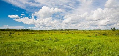 Terrain seul à Le Boulay en Indre-et-Loire (37) de 2000 m² à vendre au prix de 60000€