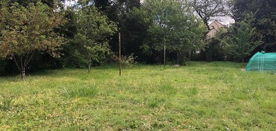 Terrain seul à Tour-en-Sologne en Loir-et-Cher (41) de 625 m² à vendre au prix de 32000€