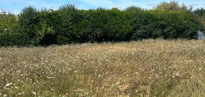 Terrain seul à Neuillé-Pont-Pierre en Indre-et-Loire (37) de 461 m² à vendre au prix de 45850€