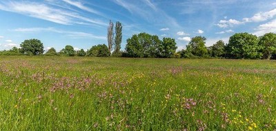 Terrain seul à Saint-Martin-le-Beau en Indre-et-Loire (37) de 486 m² à vendre au prix de 70000€