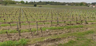 Terrain seul à Montussan en Gironde (33) de 602 m² à vendre au prix de 139000€