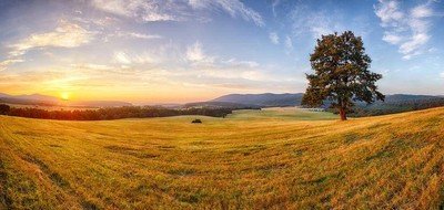 Terrain seul à Burie en Charente-Maritime (17) de 950 m² à vendre au prix de 27000€