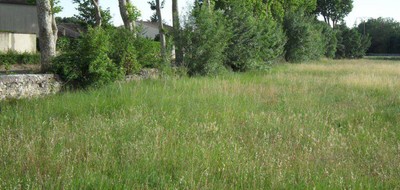 Terrain seul à Saint-Benoist-sur-Mer en Vendée (85) de 1450 m² à vendre au prix de 75000€