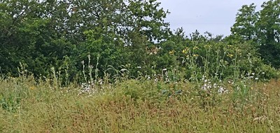 Terrain seul à La Roche-sur-Yon en Vendée (85) de 326 m² à vendre au prix de 48900€