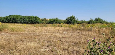 Terrain seul à Ledringhem en Nord (59) de 445 m² à vendre au prix de 61000€