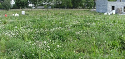 Terrain seul à Baugé-en-Anjou en Maine-et-Loire (49) de 598 m² à vendre au prix de 47500€