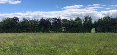 Terrain seul à Noyers-sur-Cher en Loir-et-Cher (41) de 3200 m² à vendre au prix de 34001€