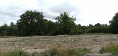 Terrain seul à Mauges-sur-Loire en Maine-et-Loire (49) de 554 m² à vendre au prix de 53900€