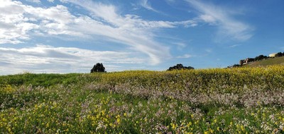 Terrain seul à Mirebeau-sur-Bèze en Côte-d'Or (21) de 474 m² à vendre au prix de 61620€