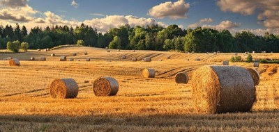 Terrain seul à Fontainebrux en Jura (39) de 1241 m² à vendre au prix de 28000€