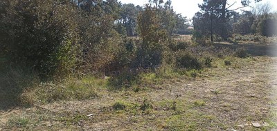 Terrain seul à Saint-Hilaire-de-Riez en Vendée (85) de 658 m² à vendre au prix de 89000€