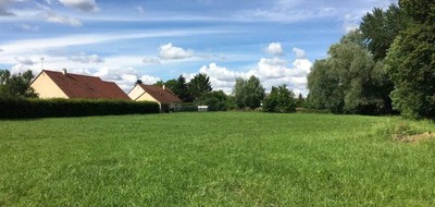 Terrain seul à Beauval en Somme (80) de 699 m² à vendre au prix de 42400€