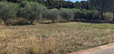 Terrain seul à Le Triadou en Hérault (34) de 500 m² à vendre au prix de 239000€