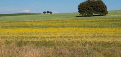 Terrain seul à La Ferrière en Vendée (85) de 364 m² à vendre au prix de 34580€