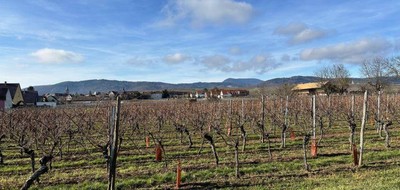 Terrain seul à Beblenheim en Haut-Rhin (68) de 1000 m² à vendre au prix de 271000€