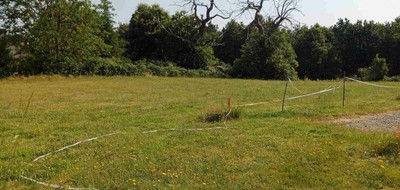 Terrain seul à Saint-Dyé-sur-Loire en Loir-et-Cher (41) de 533 m² à vendre au prix de 44000€