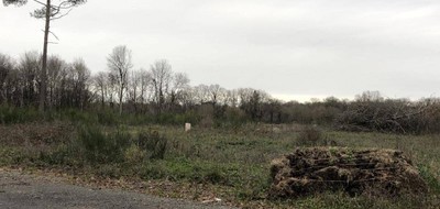 Terrain seul à Écouflant en Maine-et-Loire (49) de 308 m² à vendre au prix de 100000€