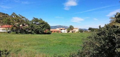 Terrain seul à Ria-Sirach en Pyrénées-Orientales (66) de 823 m² à vendre au prix de 84800€