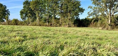 Terrain seul à Froidfond en Vendée (85) de 445 m² à vendre au prix de 52890€