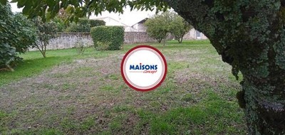 Terrain seul à Saché en Indre-et-Loire (37) de 1000 m² à vendre au prix de 85000€