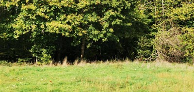 Terrain seul à Loches en Indre-et-Loire (37) de 400 m² à vendre au prix de 34000€