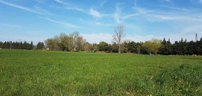 Terrain seul à Mont-près-Chambord en Loir-et-Cher (41) de 1600 m² à vendre au prix de 104000€