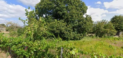 Terrain seul à Lencloître en Vienne (86) de 800 m² à vendre au prix de 30000€