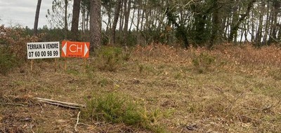 Terrain seul à Labouheyre en Landes (40) de 590 m² à vendre au prix de 65000€