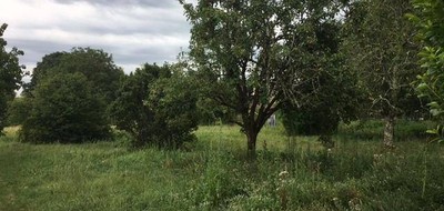 Terrain seul à Gaillan-en-Médoc en Gironde (33) de 800 m² à vendre au prix de 55000€