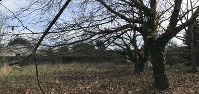 Terrain seul à Saint-Maixant en Gironde (33) de 1000 m² à vendre au prix de 91000€