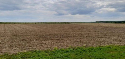 Terrain seul à Échallat en Charente (16) de 2006 m² à vendre au prix de 40000€