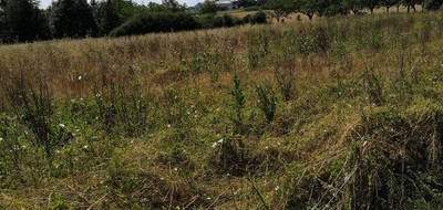 Terrain seul à Négrondes en Dordogne (24) de 1300 m² à vendre au prix de 20050€