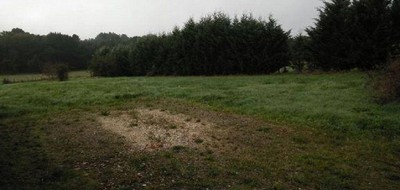 Terrain seul à Naujan-et-Postiac en Gironde (33) de 3520 m² à vendre au prix de 85000€