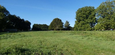 Terrain seul à Denier en Pas-de-Calais (62) de 3883 m² à vendre au prix de 98000€