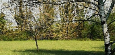 Terrain seul à Saint-Pierre-d'Amilly en Charente-Maritime (17) de 794 m² à vendre au prix de 34000€