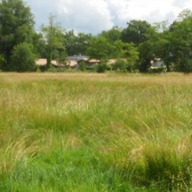 Image du post Tauriac (33) : 21 terrains à vendre aux « Jardins de la Node »