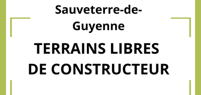 Terrain seul à Sauveterre-de-Guyenne en Gironde (33) de 832 m² à vendre au prix de 67000€ - 1