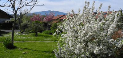 Programme terrain + maison à Valleiry en Haute-Savoie (74) de 600 m² à vendre au prix de 555000€ - 3