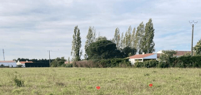 Terrain seul à Notre-Dame-de-Riez en Vendée (85) de 604 m² à vendre au prix de 81200€